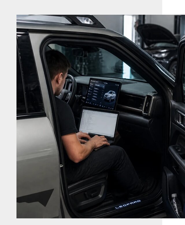 Русификация BYD Leopard 3 в Березниках по цене от 20495 р. | ФастМобиль-Брз